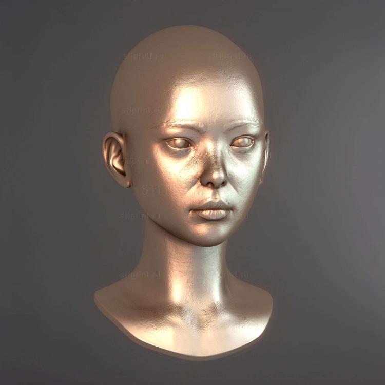 Женская Голова 2