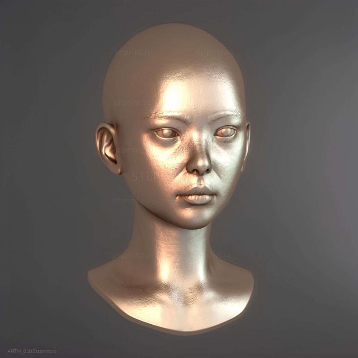 Женская Голова 2
