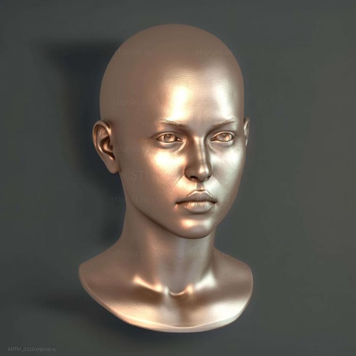 Женская Голова 9
