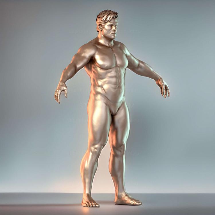 Основание корпуса Zbrush