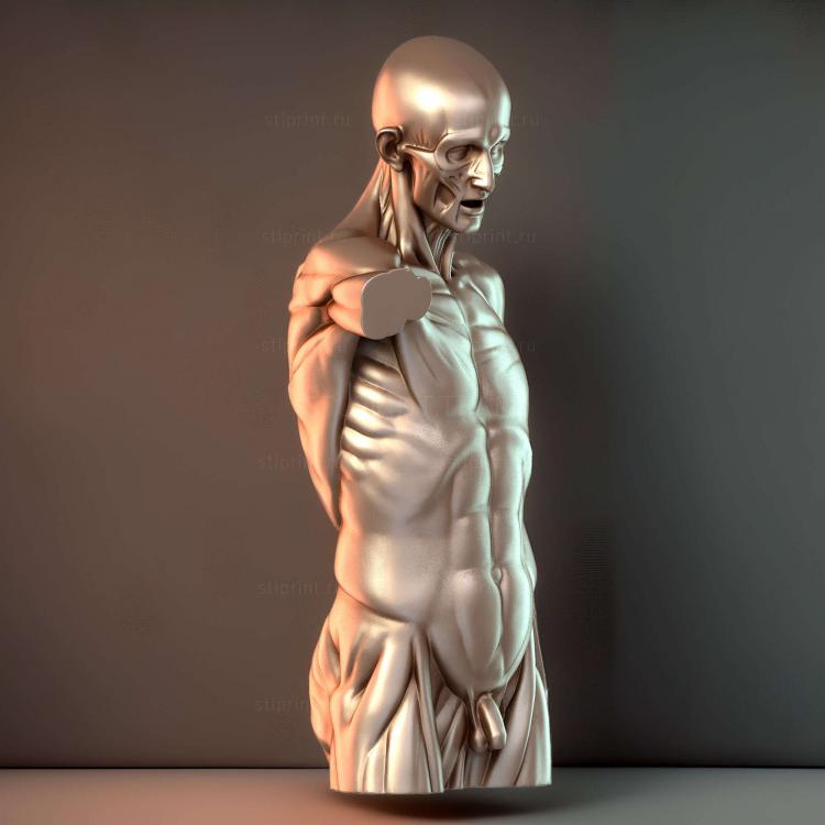 Корч Торс Гудон 2