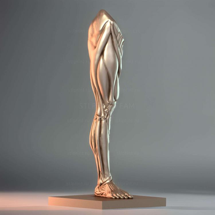 Корч для ног Ecorche