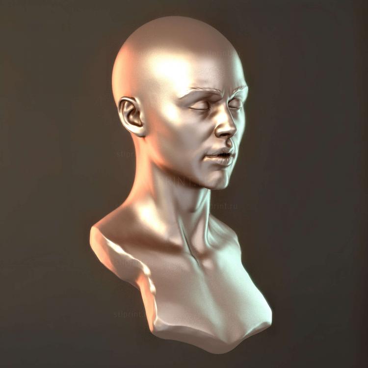 Женский бюст11