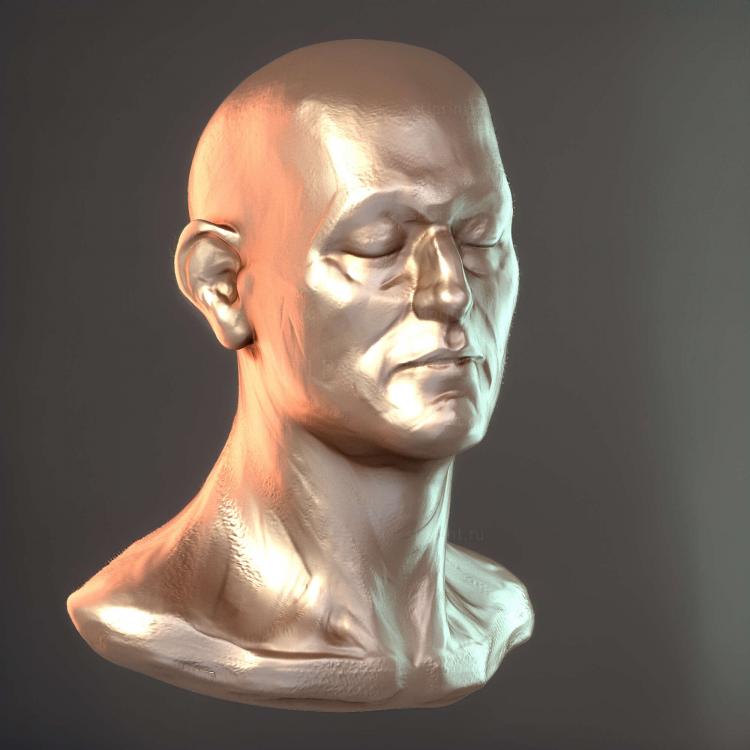 Эскиз головы