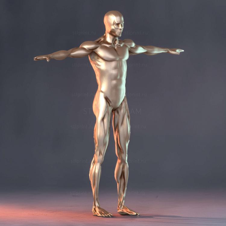 Экорше фигура