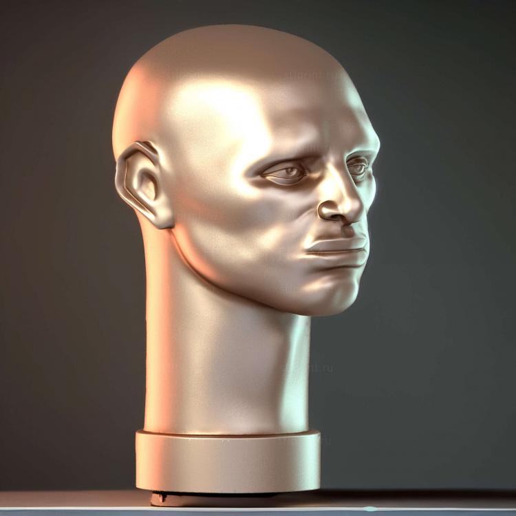 Мужская голова
