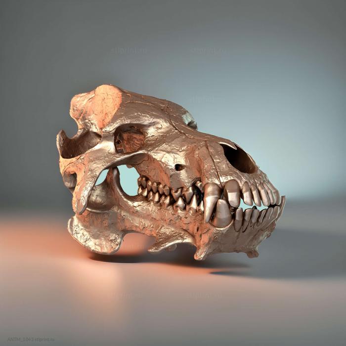 Череп Daeodon Shoshonensis Entelodonte
