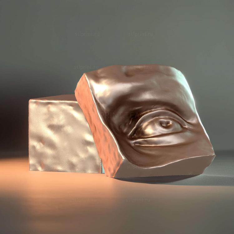Модель 24