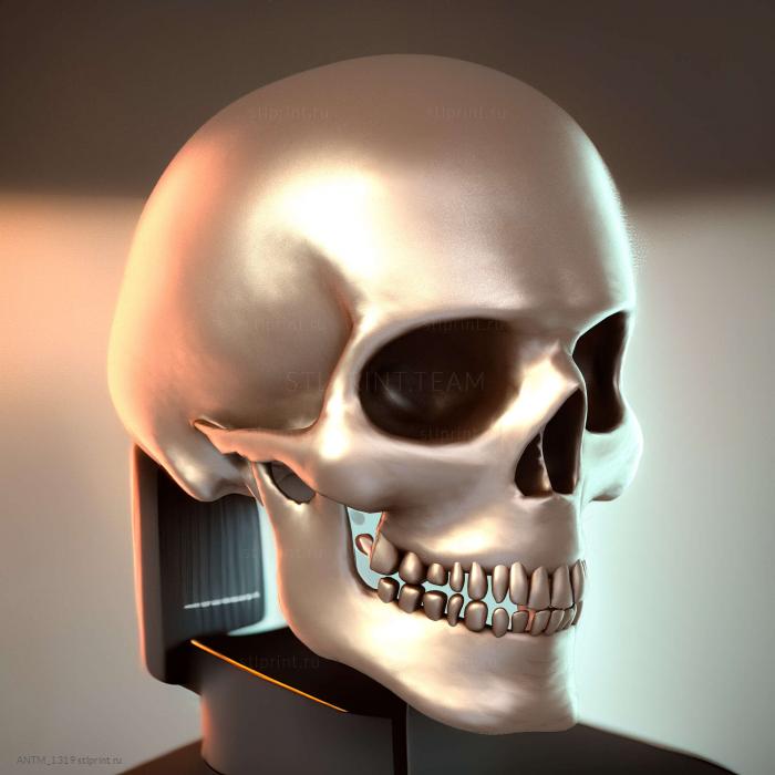 3D Реалистичная модель Человеческого Мужского черепа