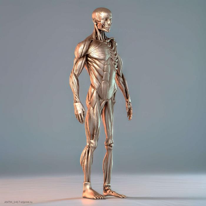 Экорш 2