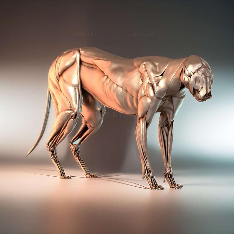 Кошачий Экорше