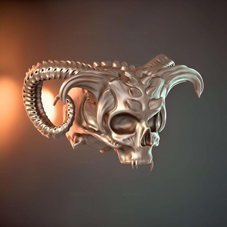 Череп 3d