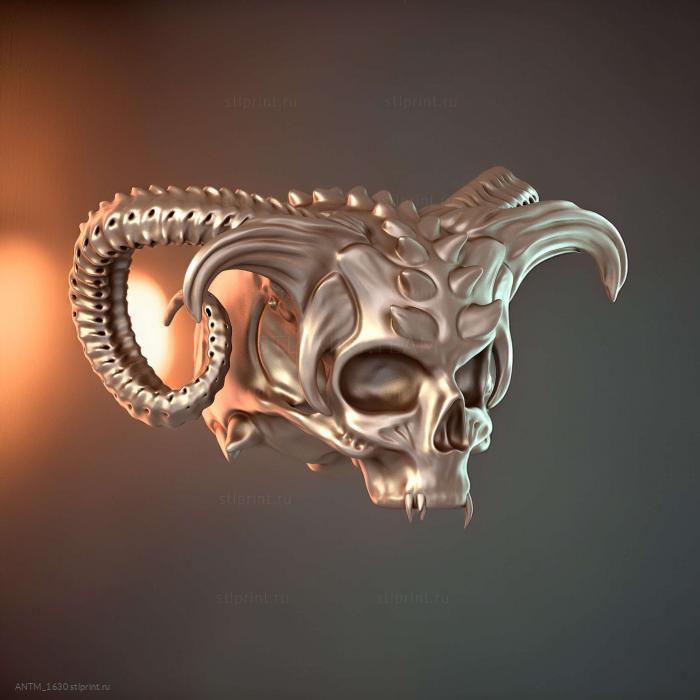 Череп 3d