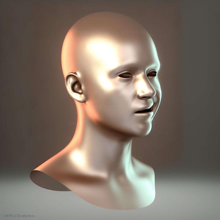 Голова 04