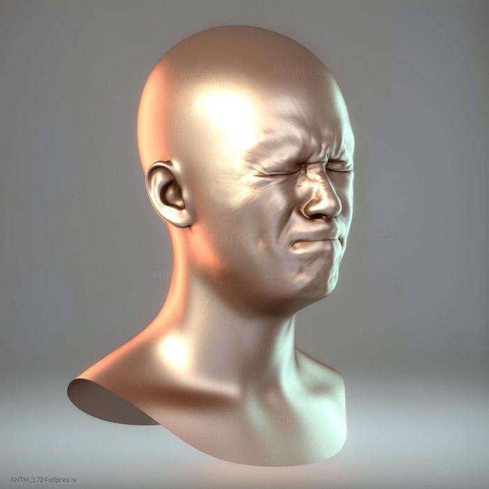 Голова 07