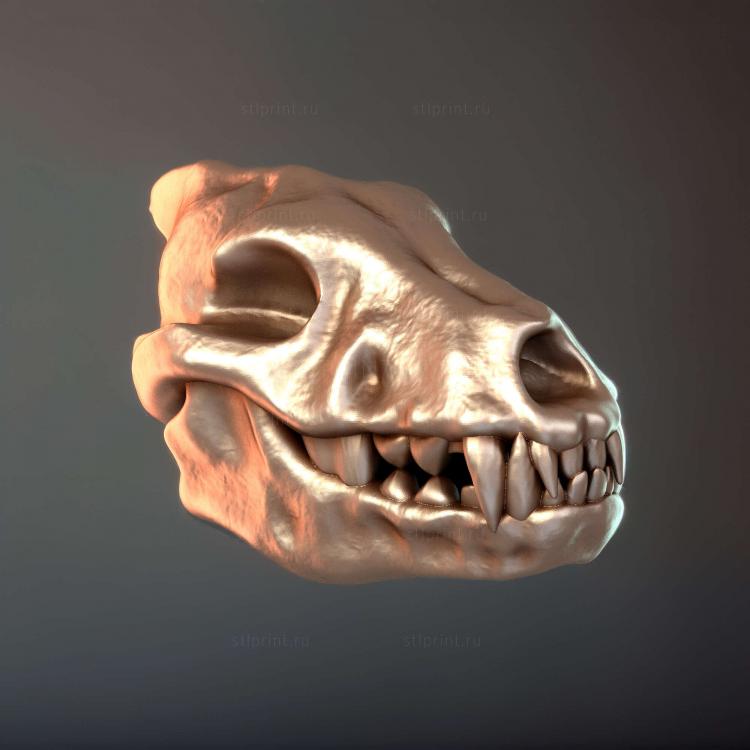 Stretch Goals Skulls Том 2 череп варга