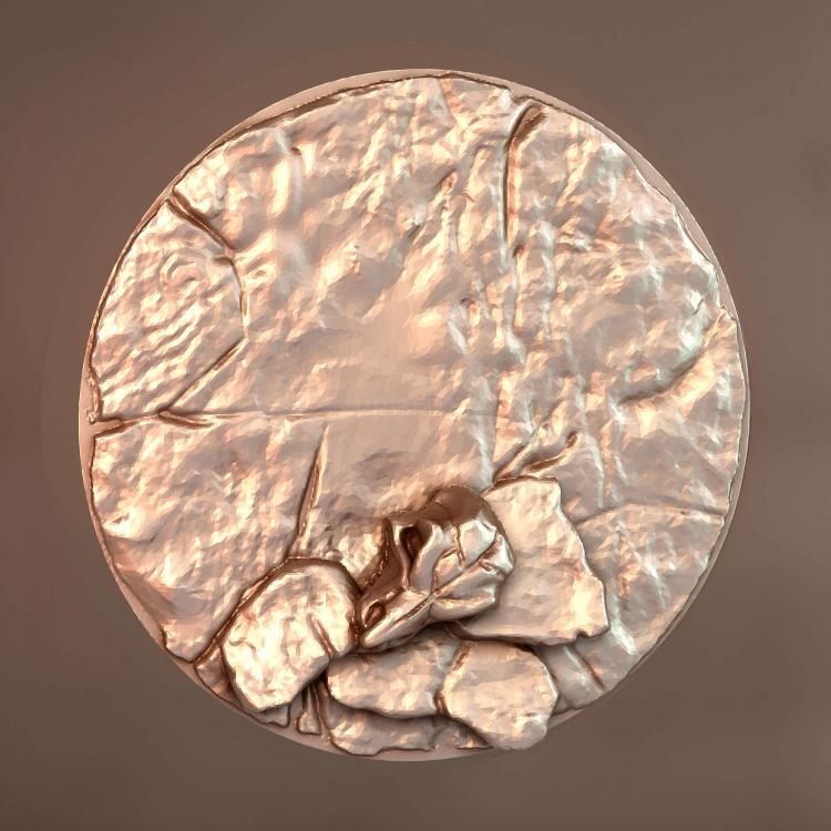 База Ящериц Goldmaw A 002