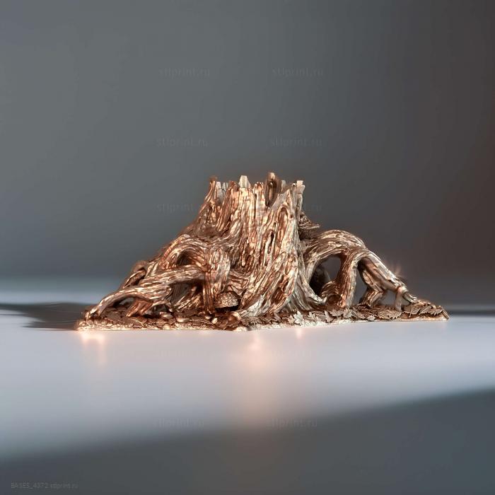 Корни l c