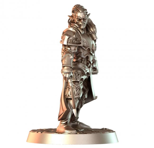 Эльфийский Чемпион