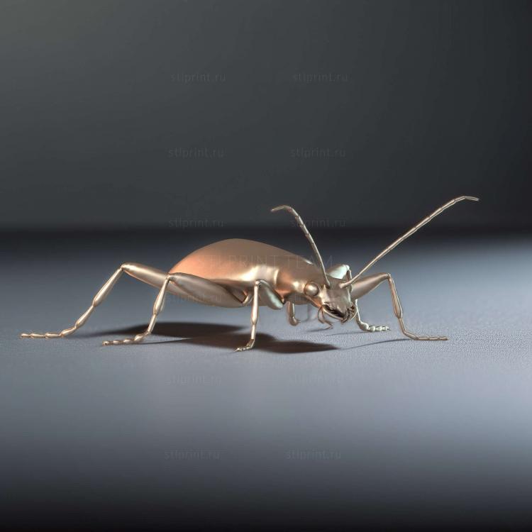 Жук-листоед Aulacophora Indica