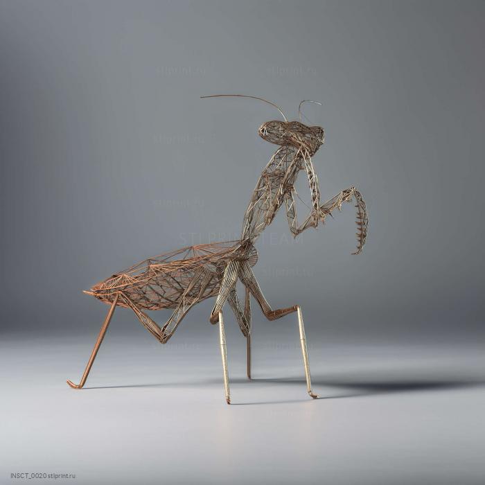 КАРКАС MANTIS