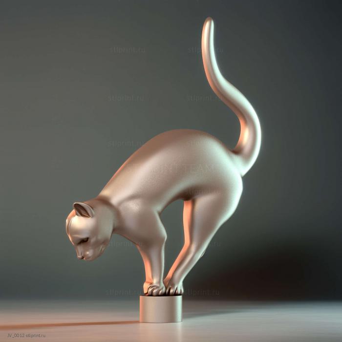 Кот на камне