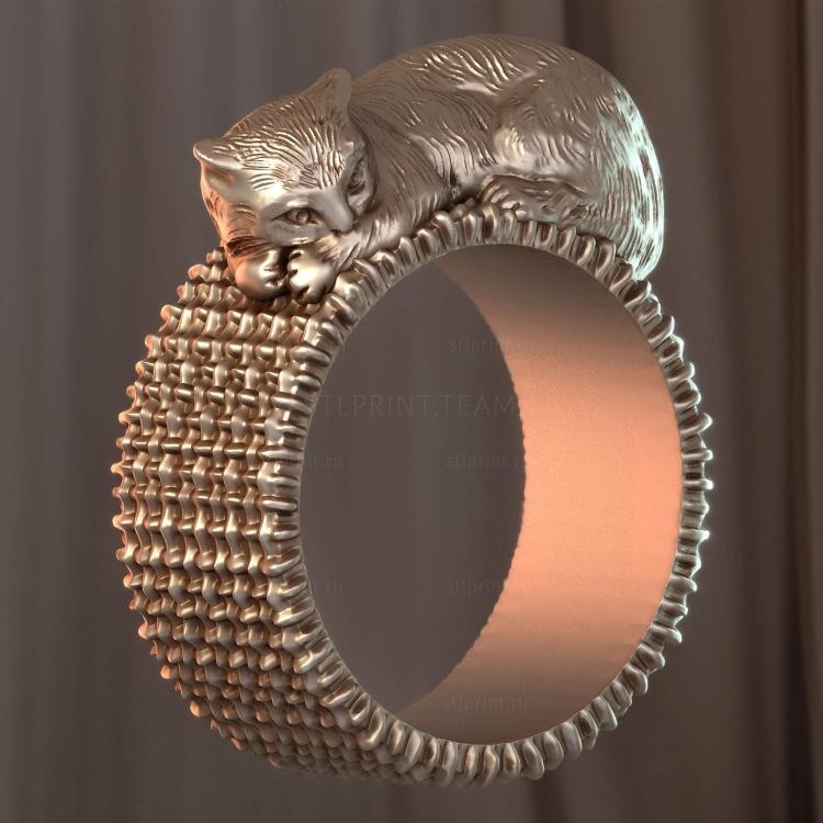 Кошка ждет