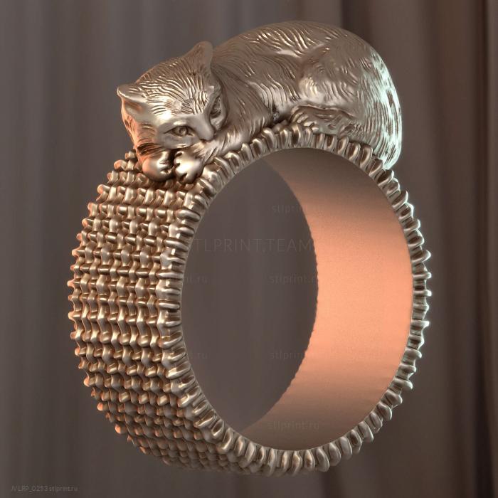 Кошка ждет