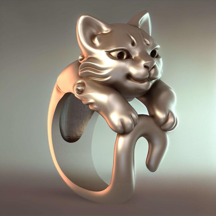 Кошачье кольцо