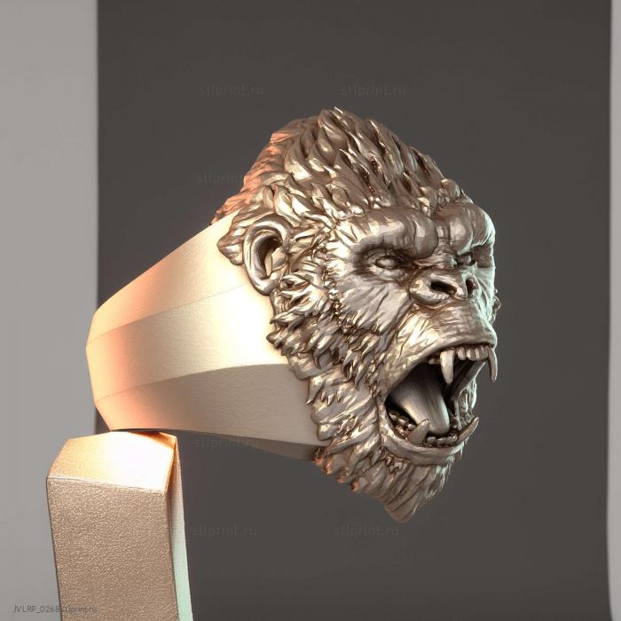 Anello gorilla