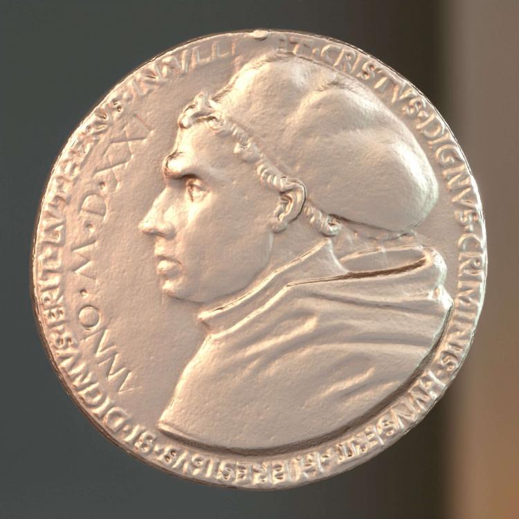 Медаль Мартина Лютера