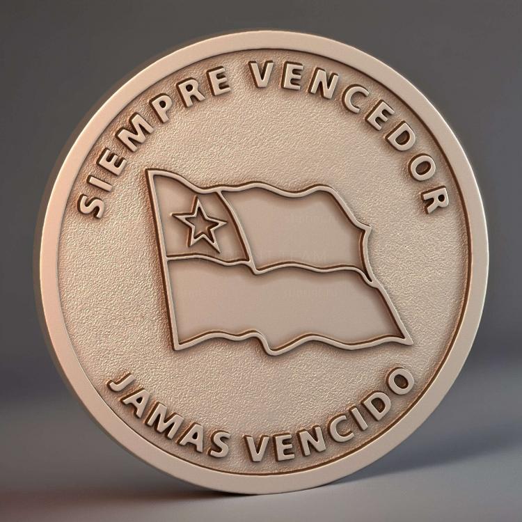 Moneda Ejercito de Chile Pintura
