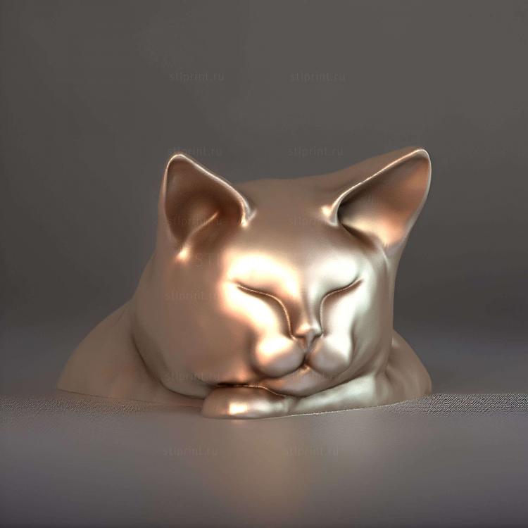 Чат Додо Кот Спит
