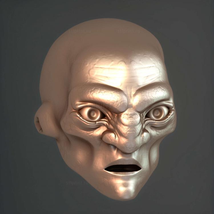 Призрачное Лицо Highpoly Для Печати