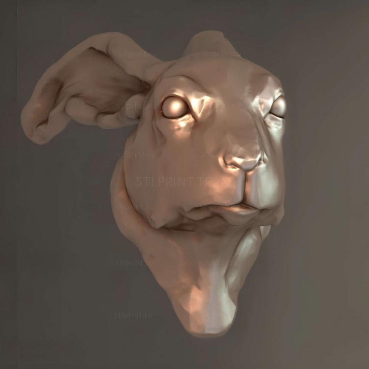 Заяц 2