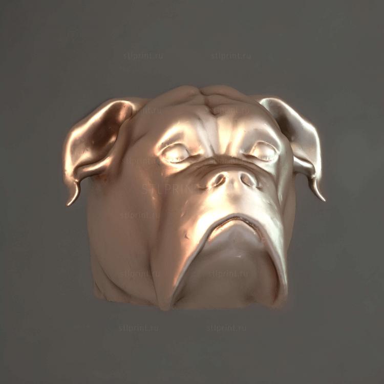 Боксер Тете2