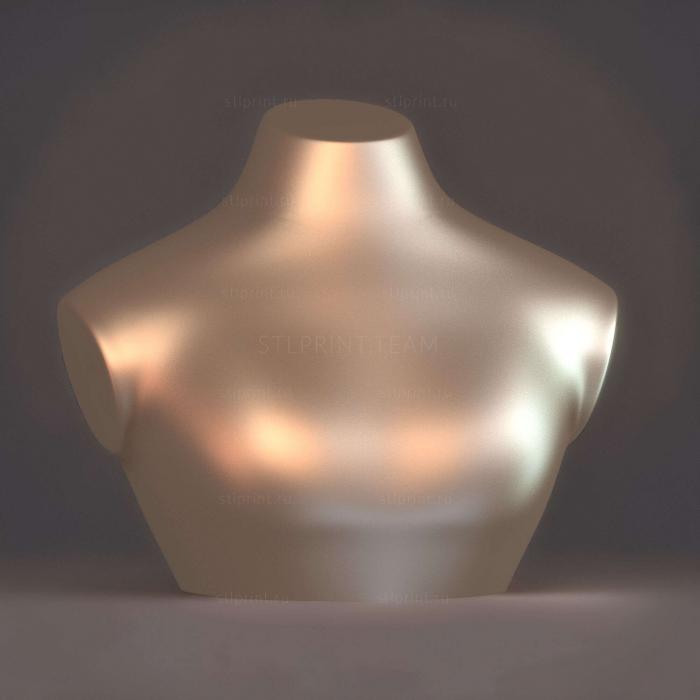 NS_0011