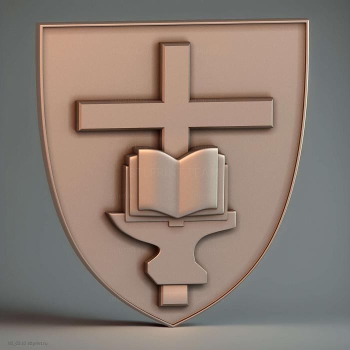 Щит декоративный shield