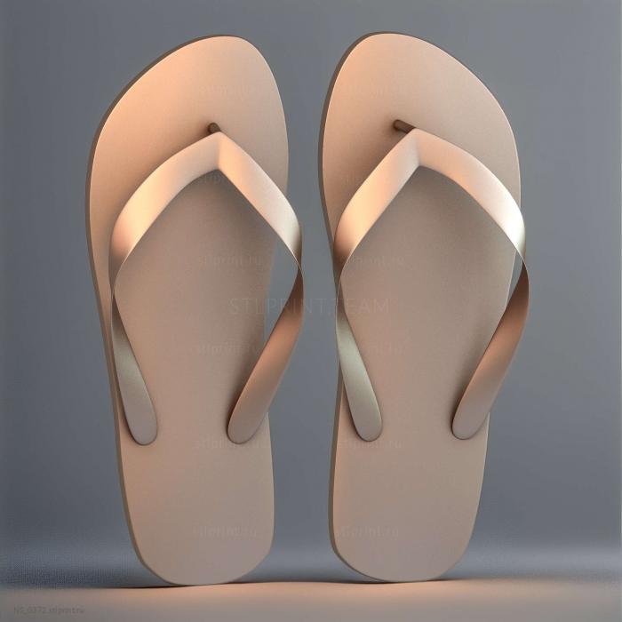 Туфли Havaianas версия 1