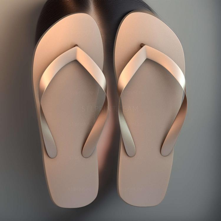 Туфли Havaianas