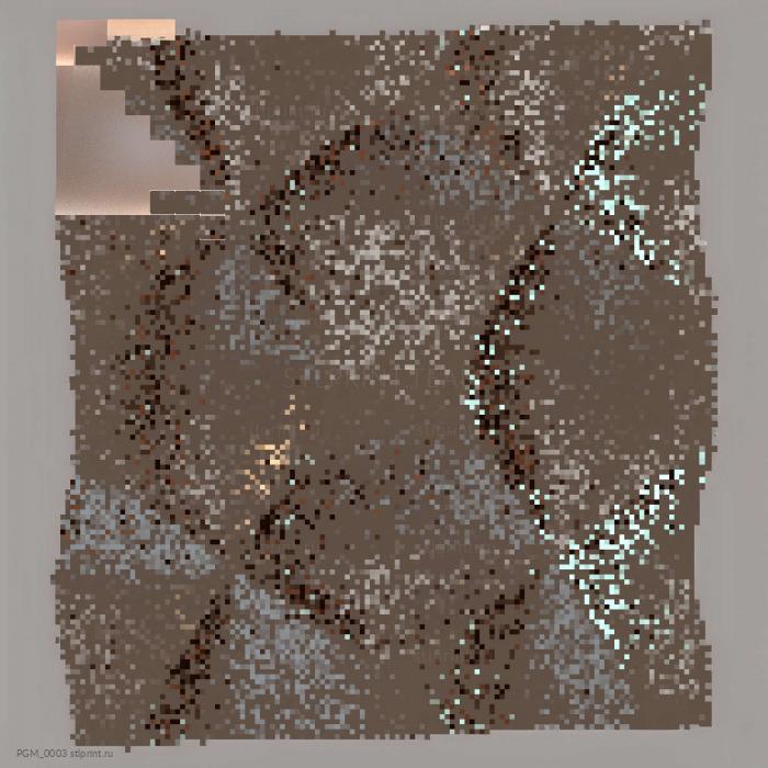 PGM_0003