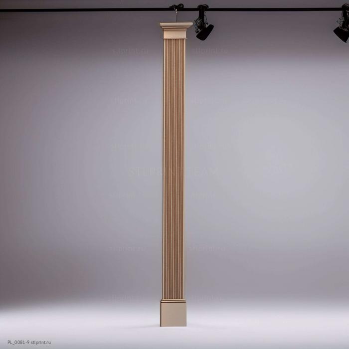 PL_0081-9