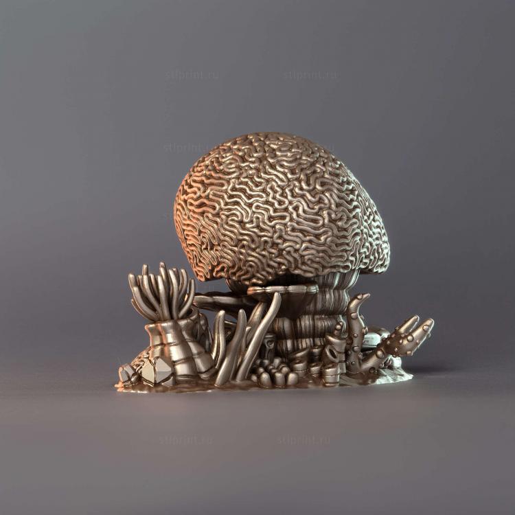 Мозг и разветвленные кораллы Coral A