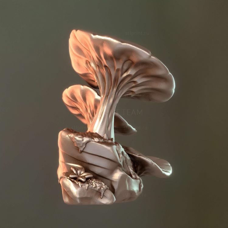Реквизит tri shroomrock bam pat 0821