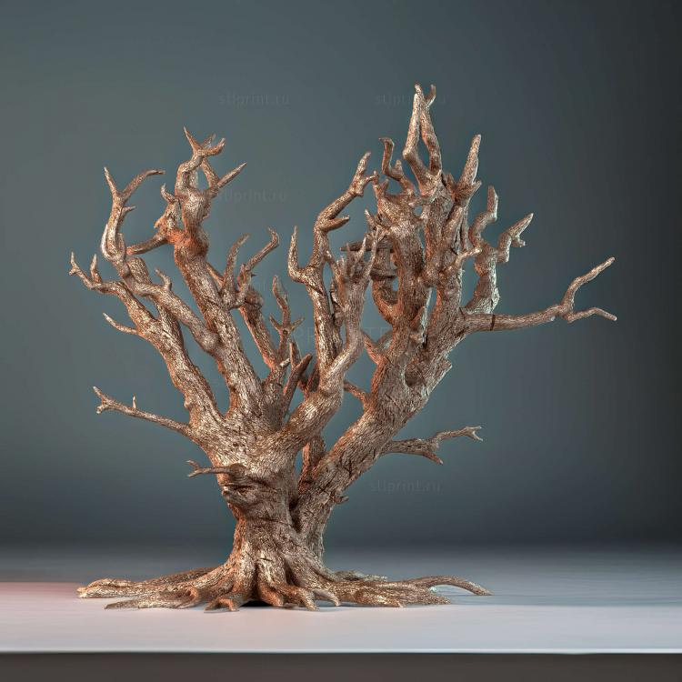 Деревья Без Лиц Tree D Face