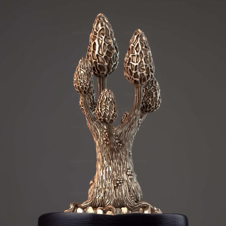 Завораживающие Сморчки Morel Tree