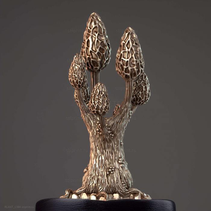 Завораживающие Сморчки Morel Tree