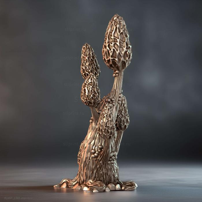 Завораживающие Сморчки Morel Tree