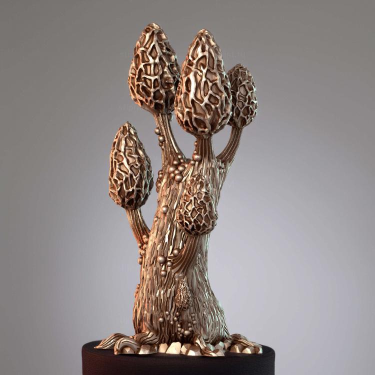 Завораживающие Сморчки Morel Tree