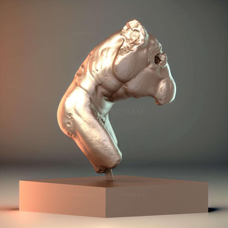 Дискобол